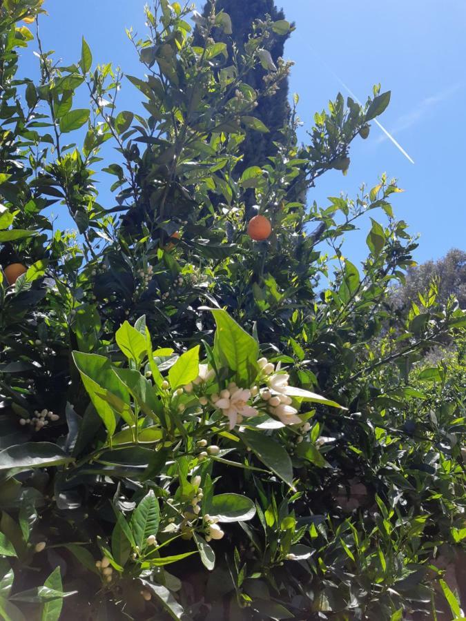 Вилла Crapa Licca Ventimiglia di Sicilia Экстерьер фото